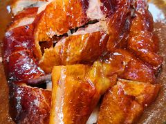 烧鹅-农汤老店(顺联公园里店)