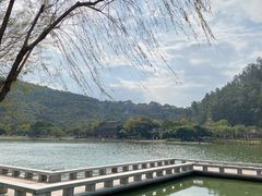 -顺峰山公园