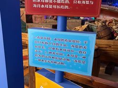 -海合安青岛极地海洋公园