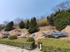 -棒棰岛宾馆景区
