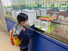 -上海昆虫博物馆