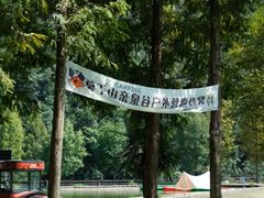 -莫干山风景区