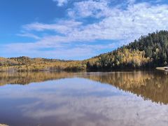 -五营红松林海景区