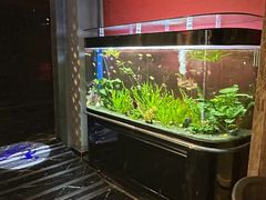-小河盐帮·私家菜·烤鸭(三元桥·霄云路店)