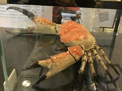 -燕莎友谊商城(亮马桥店)