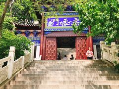 -石老人观光园