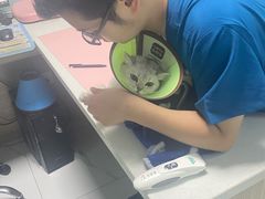 -嘉馨宠物医院·CT影像转诊·心脏科·犬猫全科诊疗中心(下沙大学城院区)