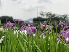 -东钱湖旅游度假区