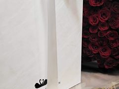 -BLACKSWAN黑天鹅(环球店)