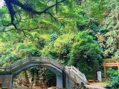-广州市石门国家森林公园