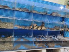 -宾朋海鲜饭庄(兴海路店)