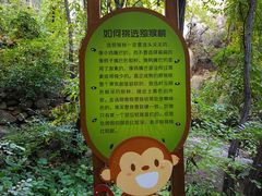 -大岭沟猕猴桃谷风景区