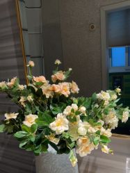 -香秀空间科技抗衰·美容中心