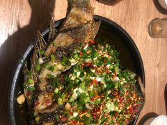 -聚鑫朋酸菜肥肠(文艺路口店)