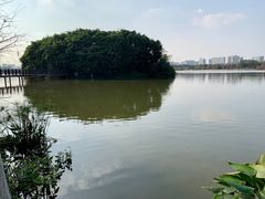 -海珠湖公园