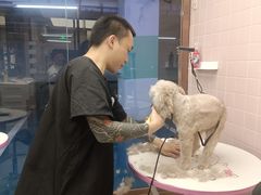 -FAELING PETS美天灵宠物(富力广场店)