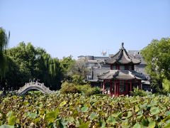 -莲池书院博物馆