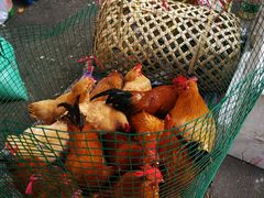 -永汉农贸市场