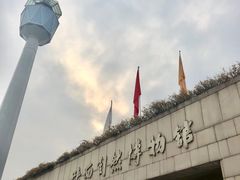 -陕西自然博物馆