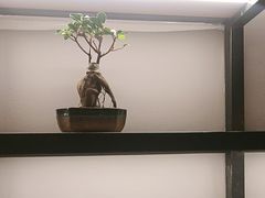 -味仙居(环城南路店)