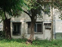 -广西大学(大学东路校区)