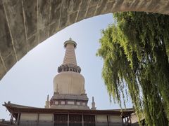 -张掖大佛寺景区