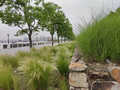 -上海山野camping·户外天幕烧烤·团建拓展营地