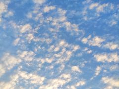 -碧云新天地二期