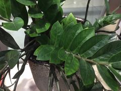 -阿育王寺素斋馆