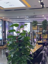 -藤野造型烫染·漂发