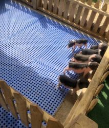 -萌宠亲子动物乐园(槐房万达店)