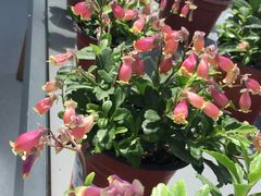 -南通洲际绿博园