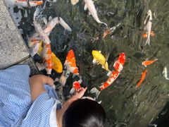 -Waterfall瀑布湾优健源(华侨城店)