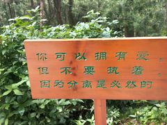 -苍山感通索道