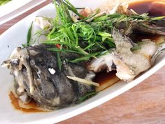 清蒸老虎斑-众味海鲜大排档·活海鲜·潮汕味(南澳店)
