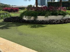 -澳门威尼斯人综合度假区