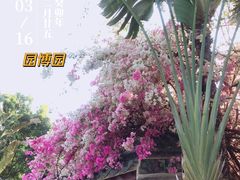 -深圳国际园林花卉博览园