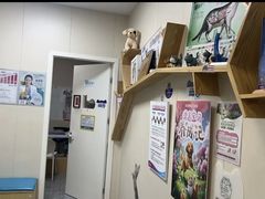 -美联众合爱康动物医院•复杂内科•肿瘤科•牙科•腔镜诊疗中心