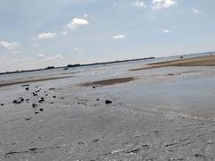 -北海金海湾红树林生态旅游区