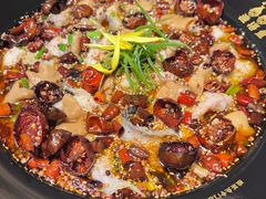 -渔语鱼新川菜Bistro(万象天地店)