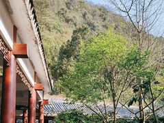 -黔灵山公园