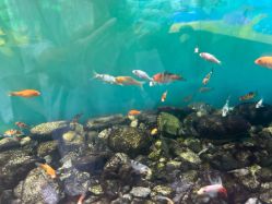 -Zoolung Zoolung动物主题公园(海信广场店)