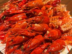 -北京希尔顿逸林酒店