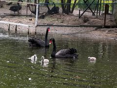 -长白岛森林公园