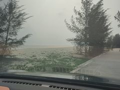 -万尾金滩