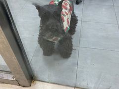 -宠福鑫康馨动物医院·骨科·眼科