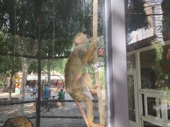 -长白岛森林公园