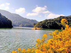 -广州市石门国家森林公园