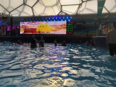 -水立方嬉水乐园