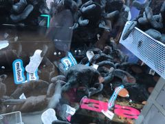 -反斗乐园(领展中心城店)